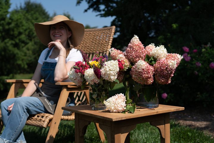 Say Hello To Sweet Starlight™ Panicle Hydrangea | Bloomables